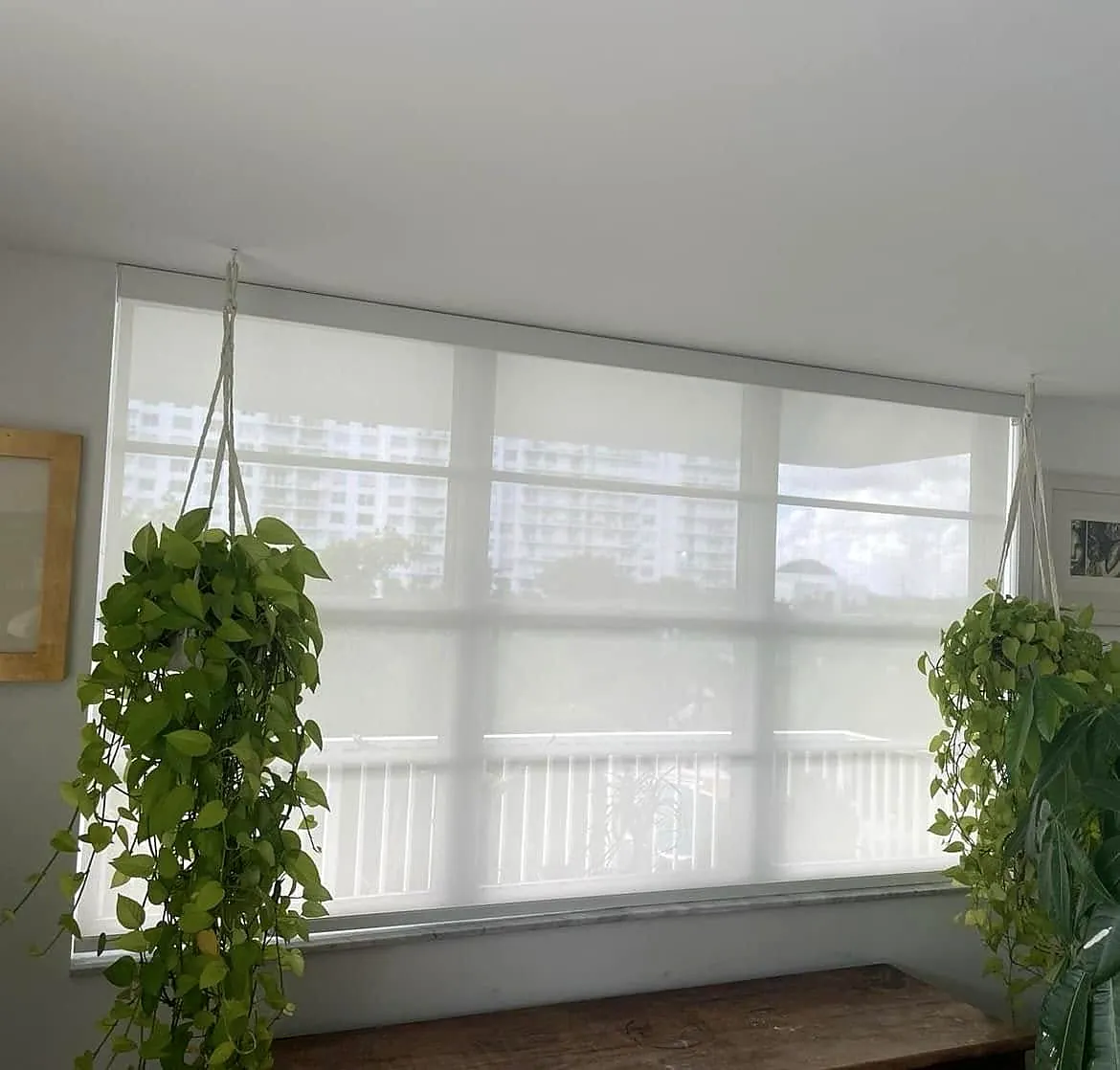 Screen shades solares en ventanal